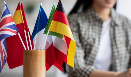 Immagine dell'evento Language Toolkit - XIII edizione