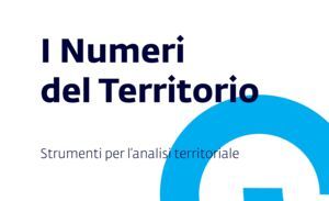 I Numeri del Territorio