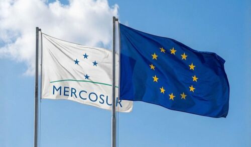 Immagine per la news L'interscambio commerciale con i Paesi del Mercosur